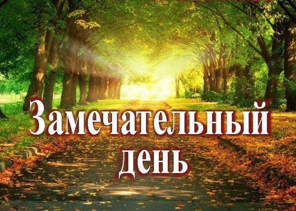 Замечательный день
